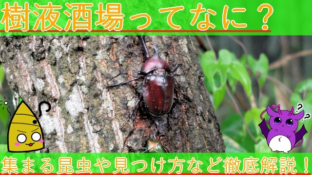 Thumbnail of post image 042